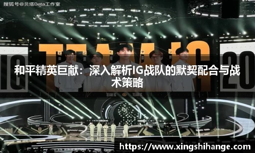和平精英巨献：深入解析IG战队的默契配合与战术策略