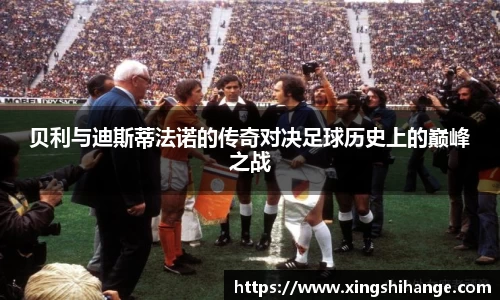mk体育mksport