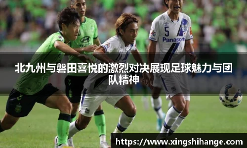 mk体育mksport